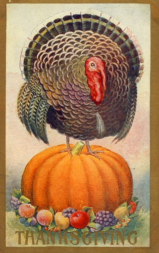 4042672377_9a4a880608